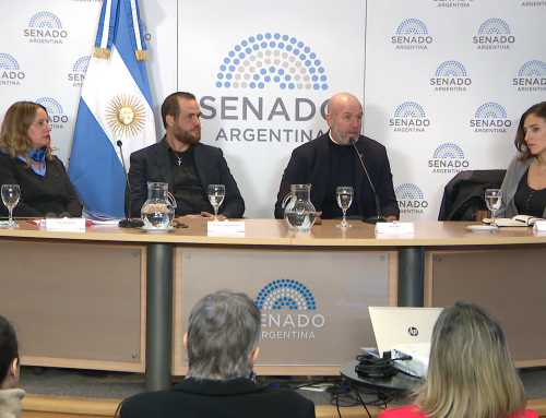 Conferencia en el Senado a 3 años de las marchas del 11J